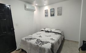 El Hogar de Ami